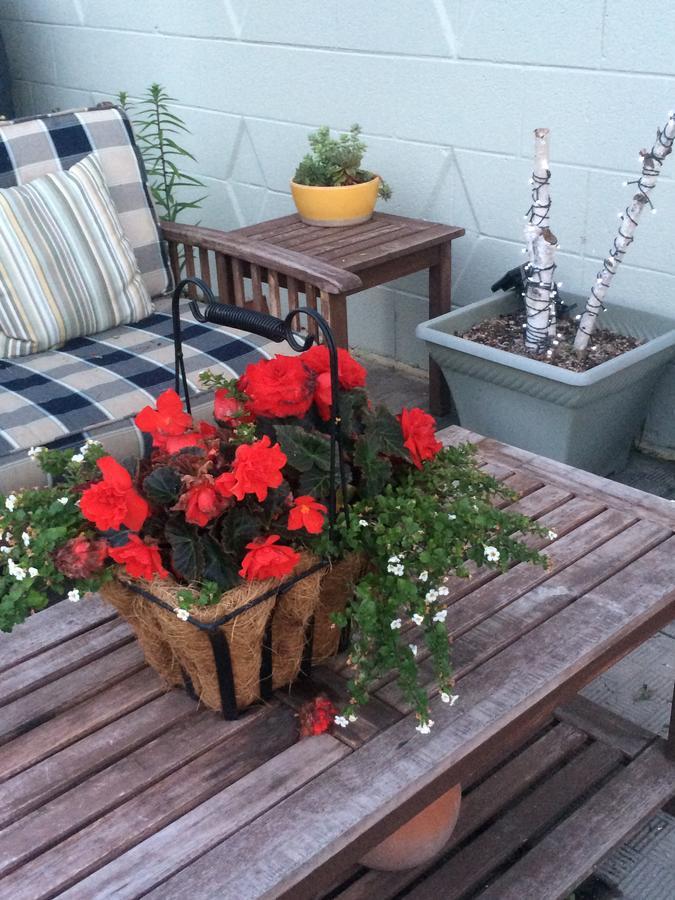 Moon Gate Guest House Whitemouth Экстерьер фото